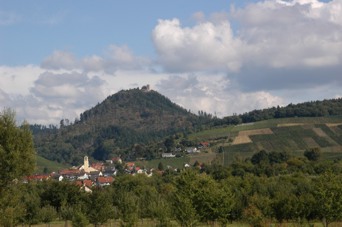 SchlemmReben2.jpg (22039 Byte)